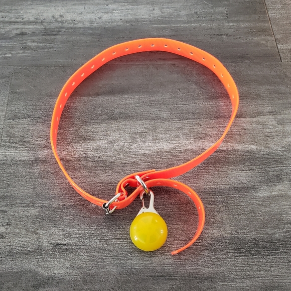 Orange Neon Night Running Dog Collar w/Light - Picture 2 of 3